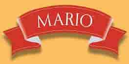 mario-logo